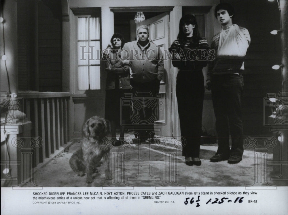 1984 Press Photo Zach Galligan Gremlins American Actor - RRW06663 - Historic Images