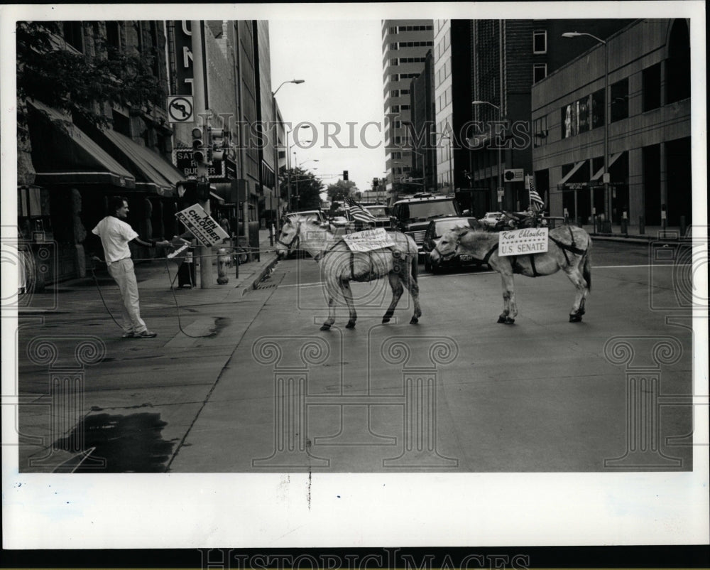 1992 Press Photo Donkeys Campaign - RRW07089 - Historic Images
