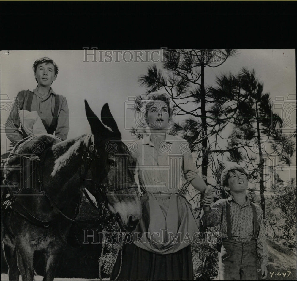1958 Press Photo Dorothy McGuire Old Yeller Star - RRW07473 - Historic Images