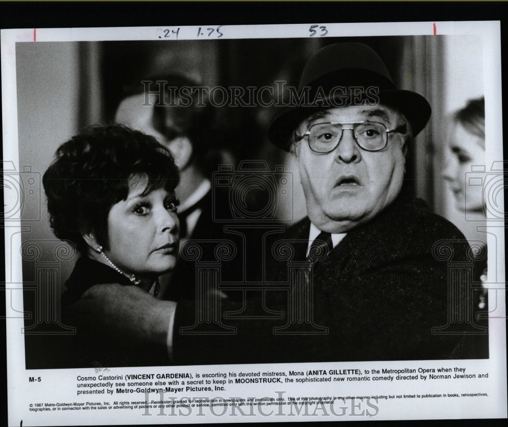 1988 Press Photo Vincent Gardenia,Anita Gillette,actors - RRW07583 - Historic Images