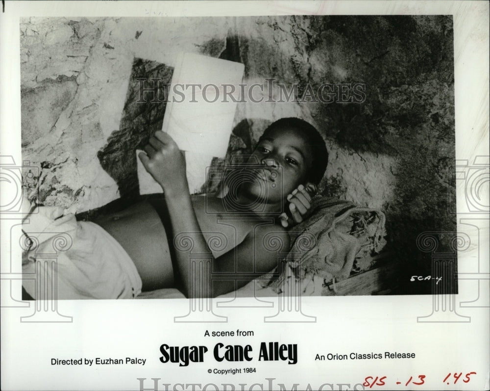 1984 Press Photo Sugar Cane Alley Film Actor Studying - RRW07965 - Historic Images