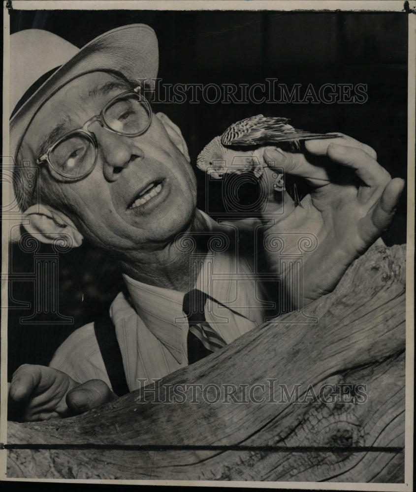 1949 Press Photo Clyde Hill &amp; Pet Susie The Parakeet - RRW09049 - Historic Images