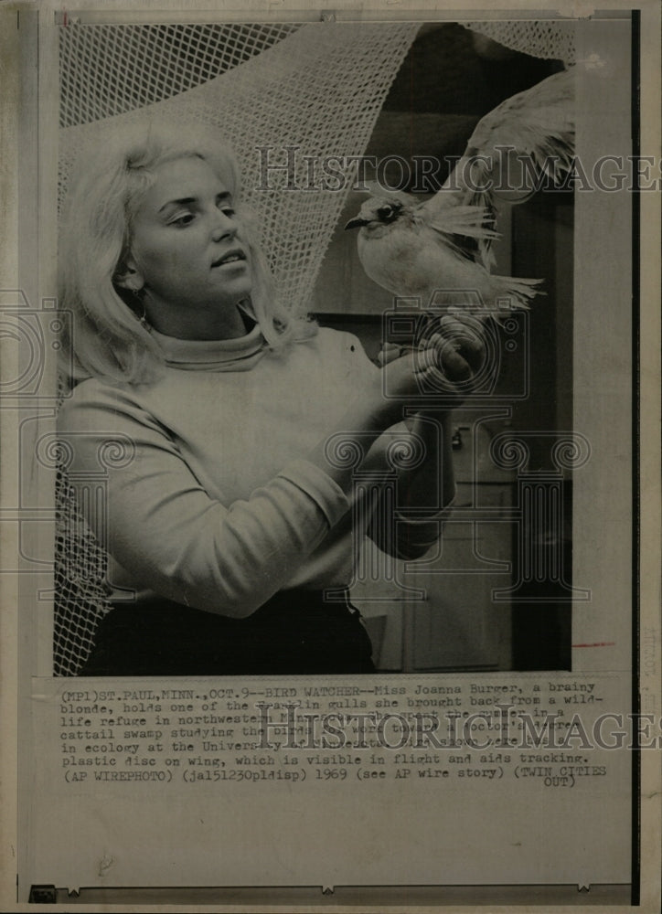 1969 Press Photo Joanna Burger Holds Franklin Gull - RRW13457 - Historic Images