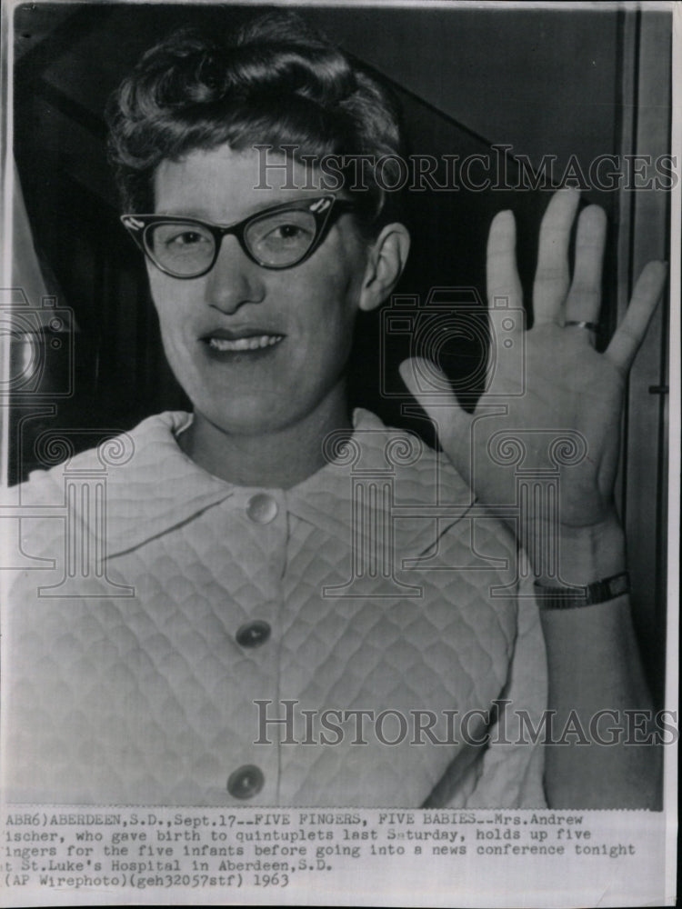 1963 Press Photo Mrs Andrew Fischer Quintuplets - RRW19231 - Historic Images