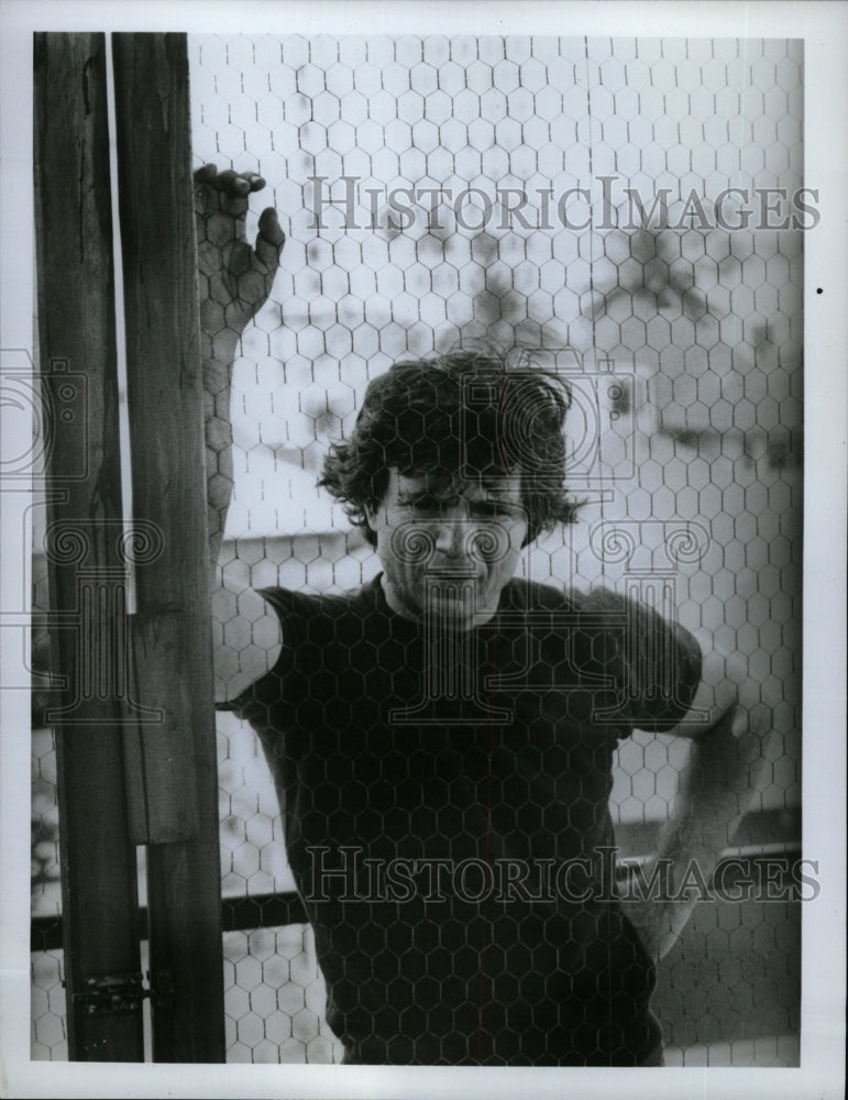 1977 Press Photo Robert Blake (Actor) - RRW20855 - Historic Images