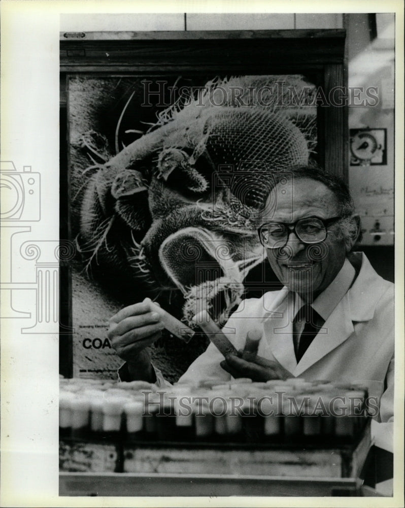 1987 Press Photo A giant fruit fly looms. - RRW23099 - Historic Images