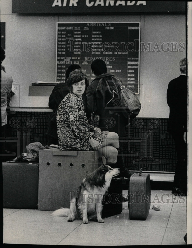 1972 Press Photo Mrs David Wilson Dog Sonny Toronto - RRW23745 - Historic Images