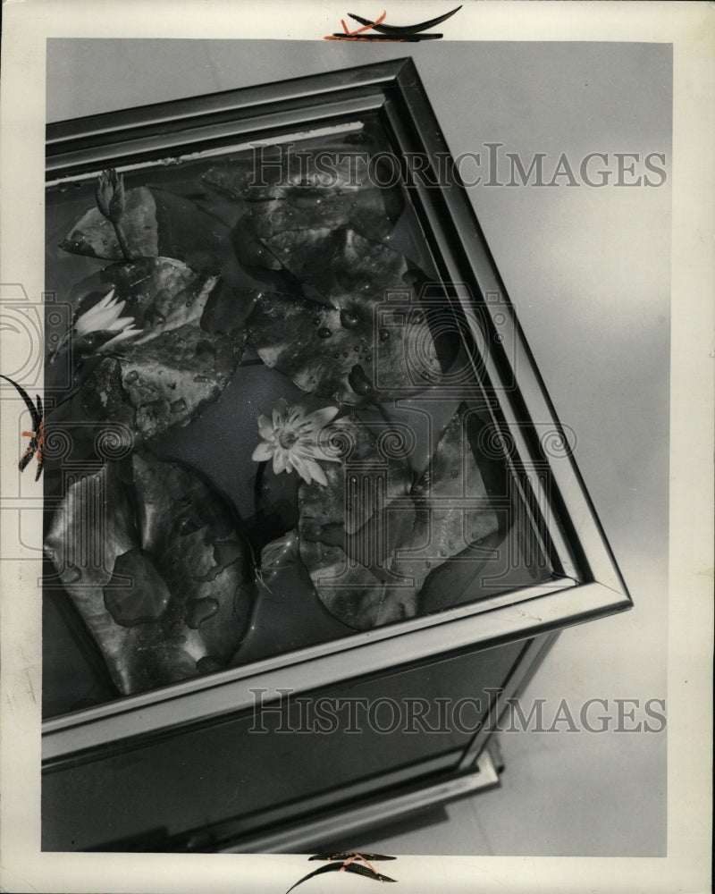 1964 Press Photo Margaret Mary Water Lilly Flowers Tub - RRW24065 - Historic Images