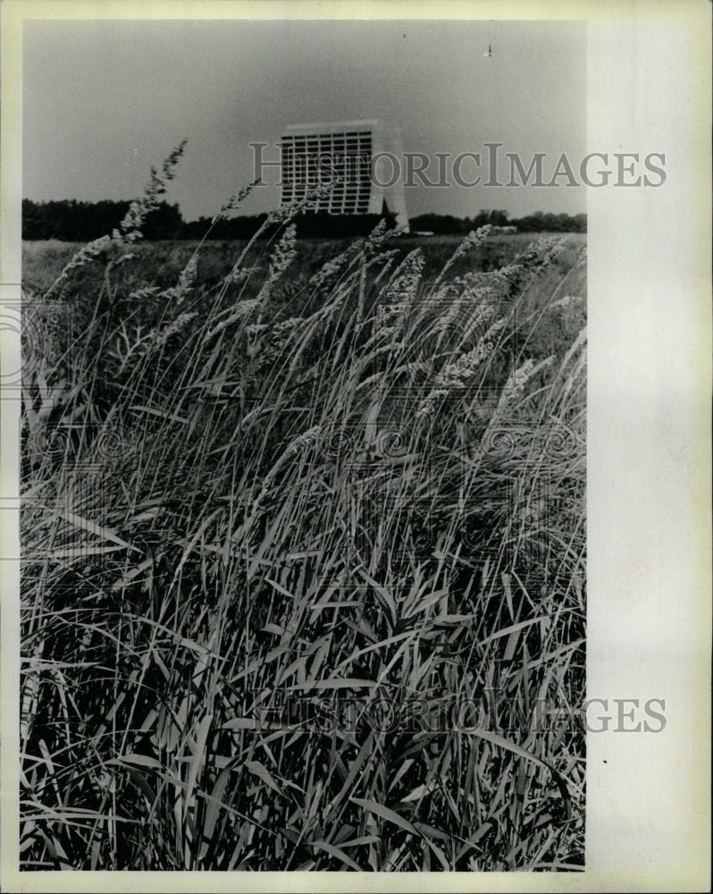 1983 Press Photo Fermi Lab Canada Goose Acelerator Ring - RRW24337 - Historic Images