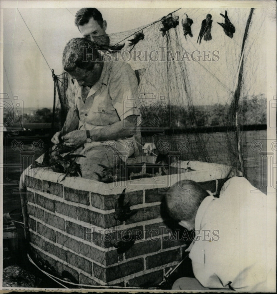 1964 Press Photo Helath Sleeping sickness Illinois dept - RRW24445 - Historic Images