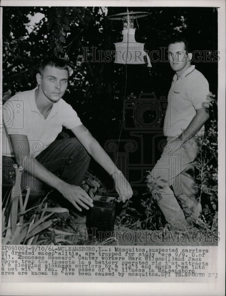 1964 Press Photo Mosquito suspected carriers dreade - RRW24447 - Historic Images