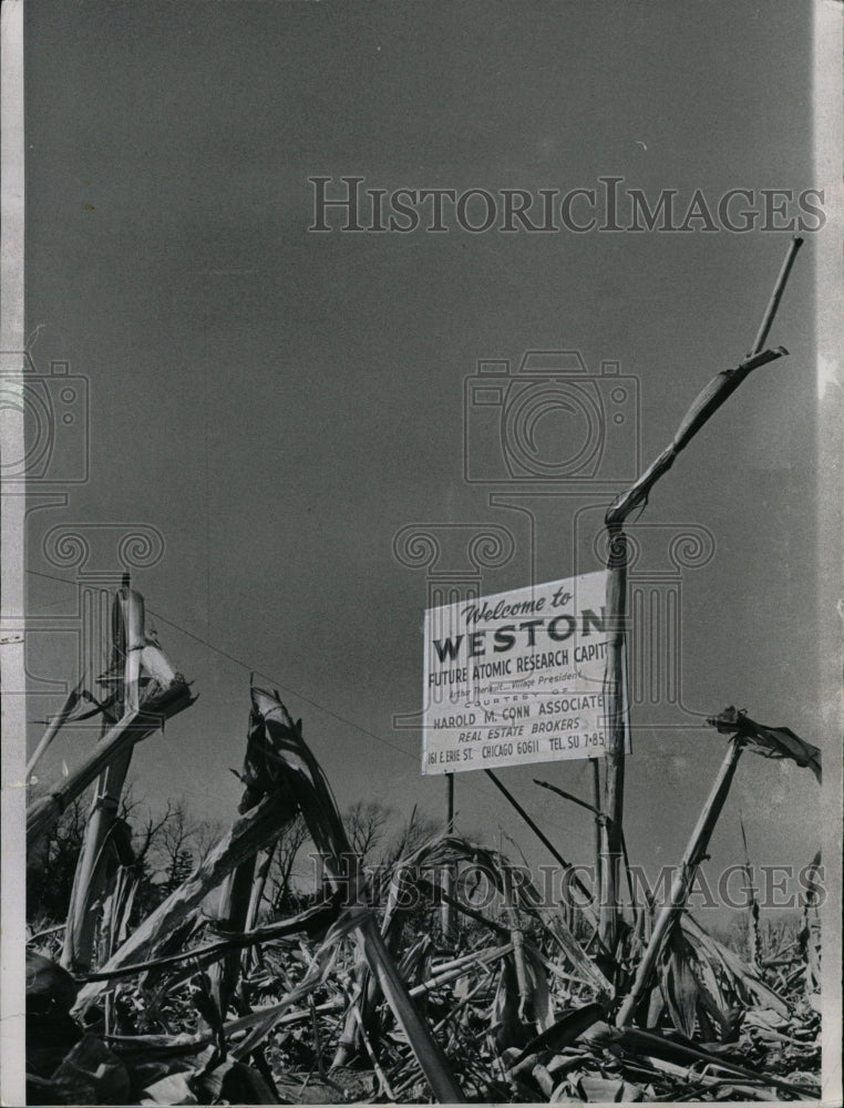 1968 Press Photo Weston Batavia Dried Fields Corn Grow - RRW24459 - Historic Images