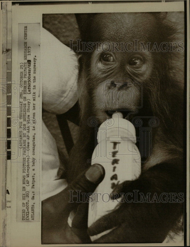 1973 Press Photo Don Rutledge Yerkes Primate research - RRW24475 - Historic Images
