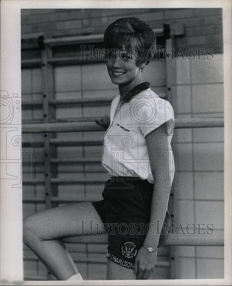 1968 Press Photo Joan Charlson - RRW25573 - Historic Images