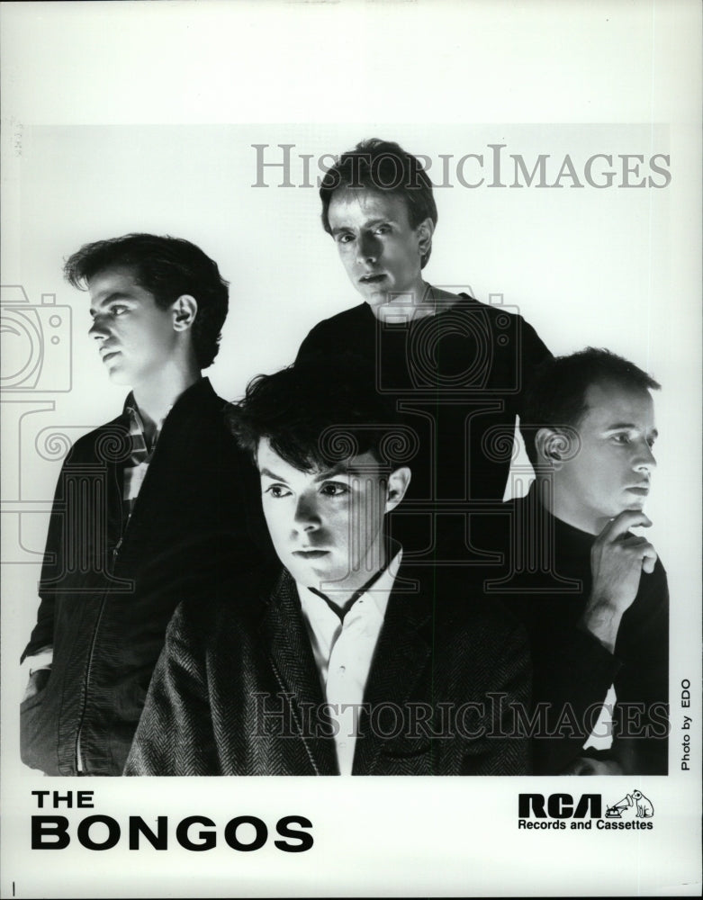 1983 Press Photo Rock Band The Bongos - RRW27261 - Historic Images