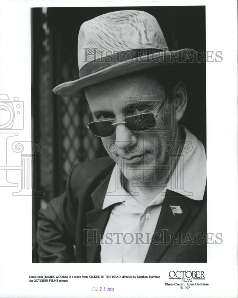 2002 Press Photo James Woods Actor Film Stage TV - RRW27987 - Historic Images