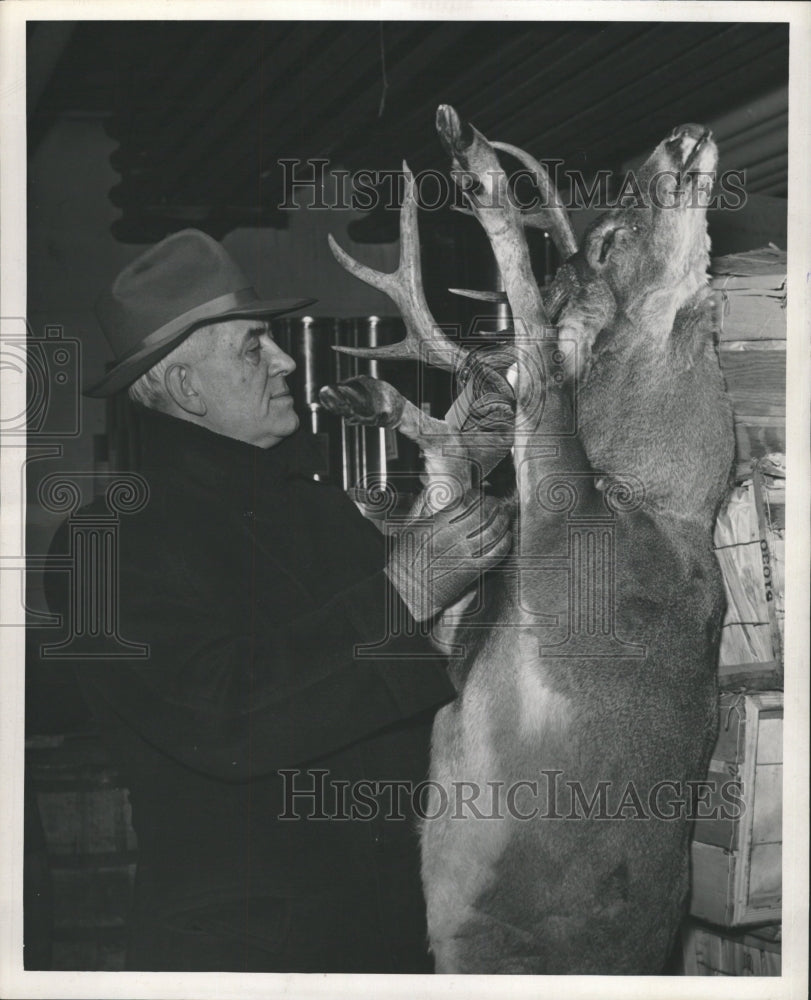 1946 Press Photo Fred Stephan Props Up Deer For Saloon - RRW28479 - Historic Images