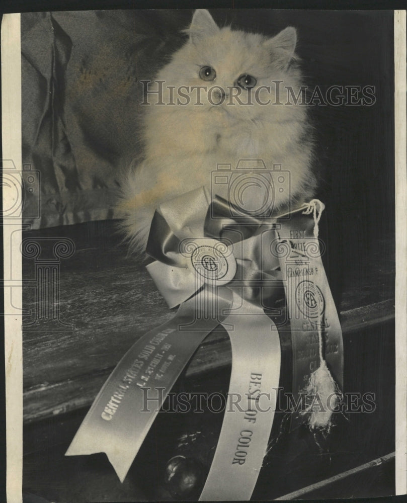 1957 Press Photo Will-O-Crest Tammie - RRW28957 - Historic Images