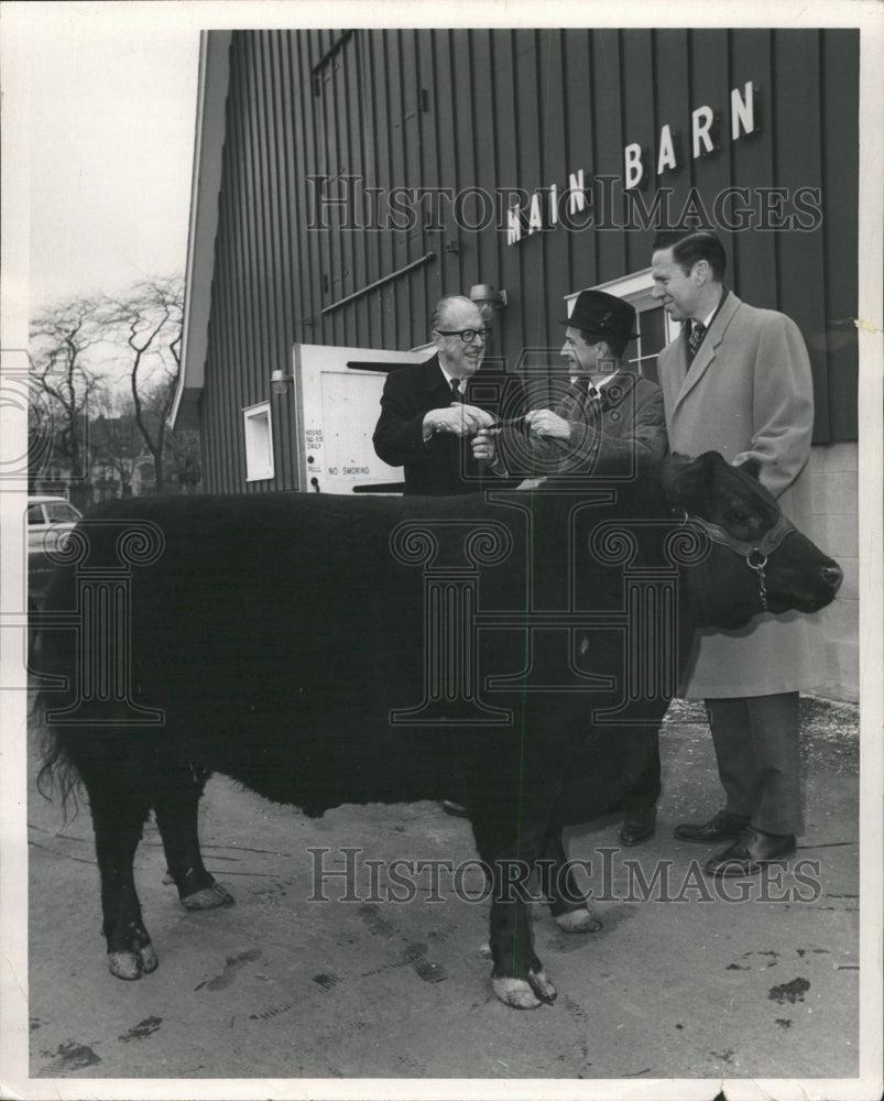 1967 Press Photo Lincoln Park Zoo Gene Hart blackie cow - RRW29399 - Historic Images