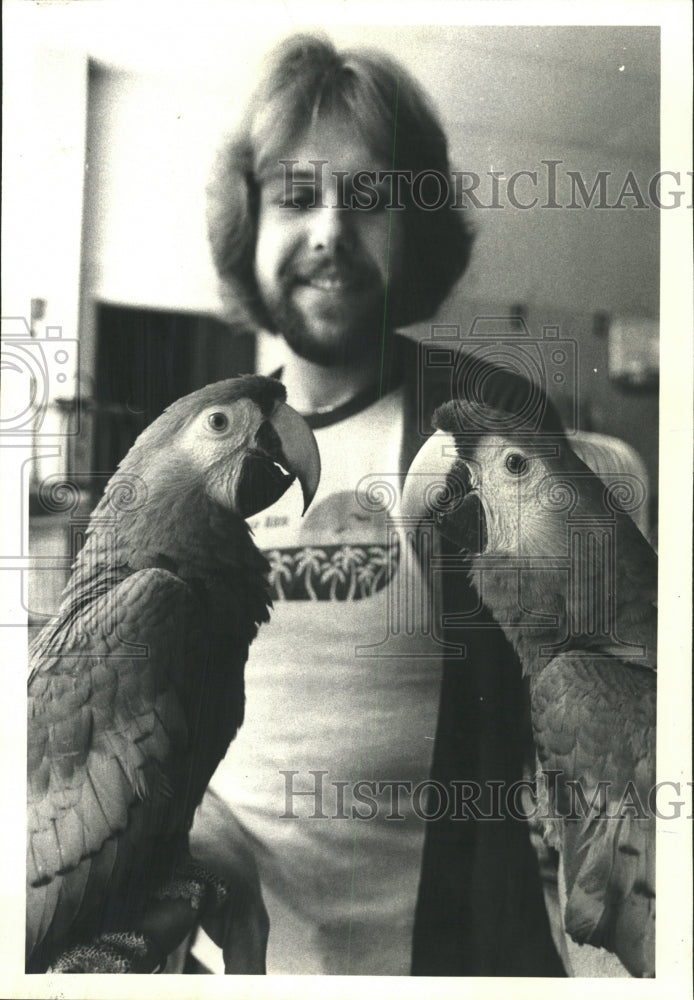 1980 Press Photo Bird-napped Macaws, - RRW29525 - Historic Images