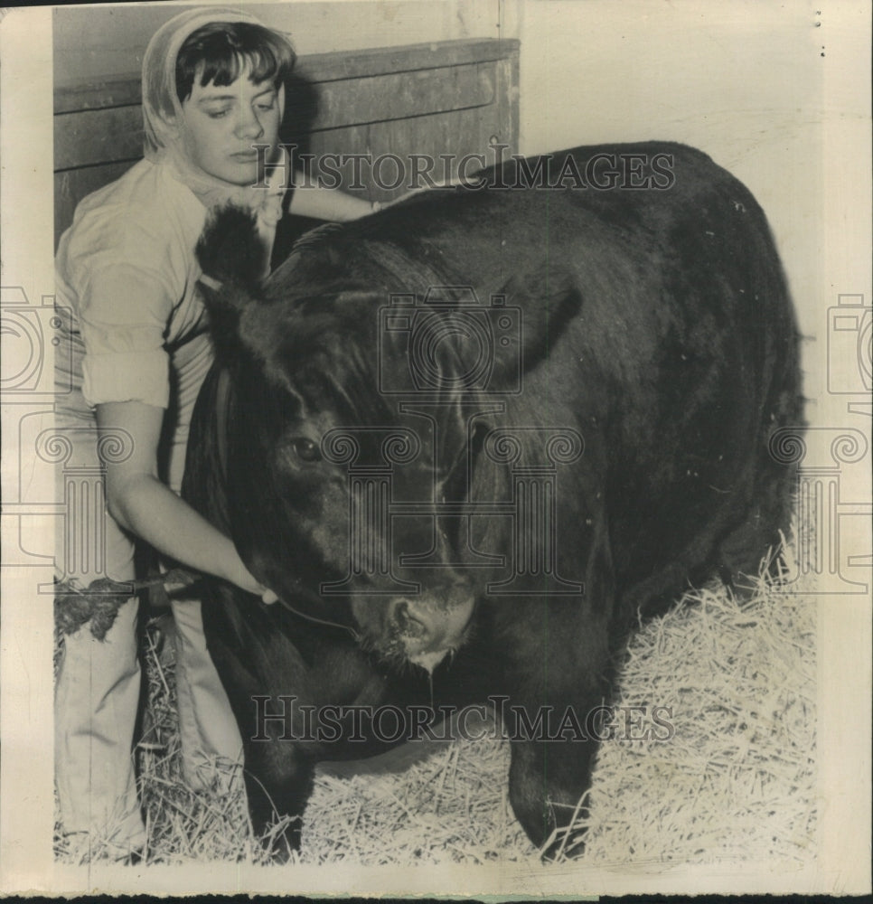 1961 Press Photo Black Angus Wisconsin State Fair Steer - RRW29787 - Historic Images