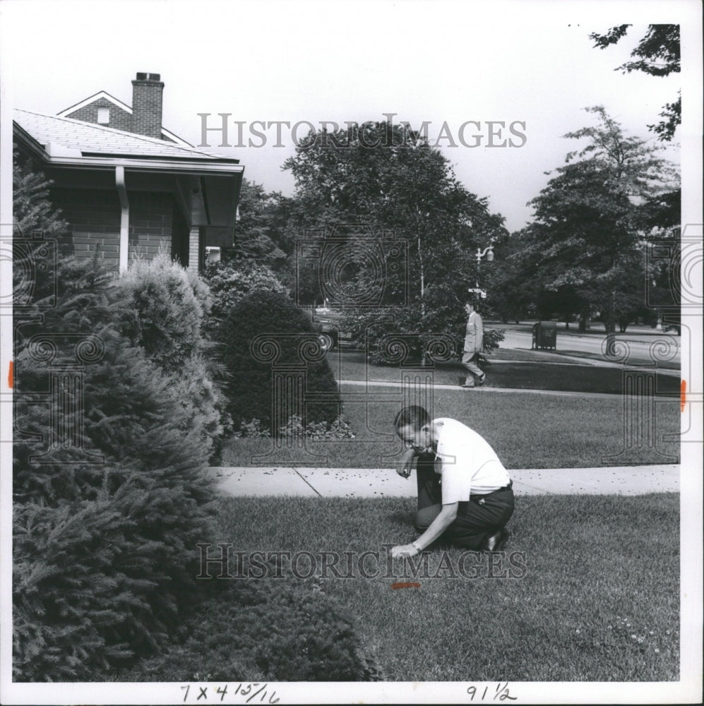 1967 Press Photo Ammon Janley works garden plants tree - RRW29995 - Historic Images