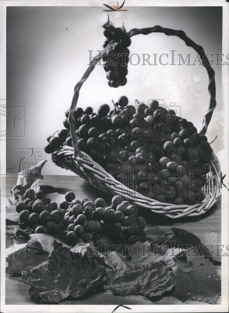 1960 Press Photo Grapes Agriculture Natural Fruits - RRW30331 - Historic Images