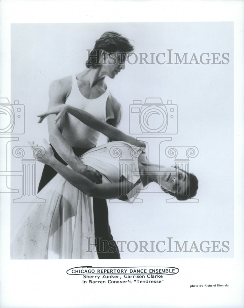 1986 Press Photo Chicago Repertory Dance Ensemble - RRW31029 - Historic Images
