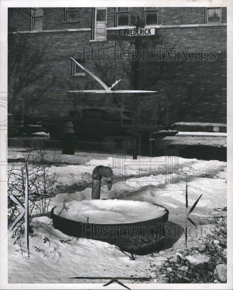 1965 Press Photo Horses Watering Trough - RRW31165 - Historic Images