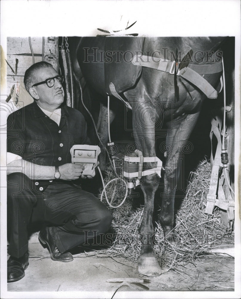 1961 Press Photo Robert Bachmann on Training Horses - RRW31167 - Historic Images