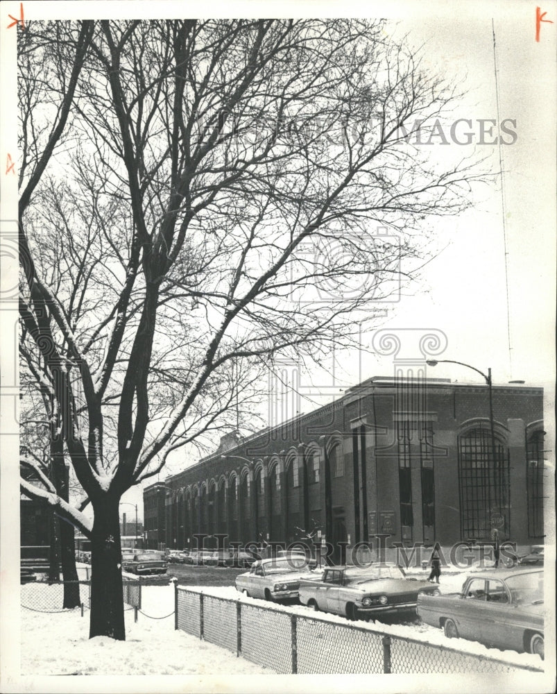 1964 Press Photo Linden Tree Chicago Maintenance - RRW31409 - Historic Images