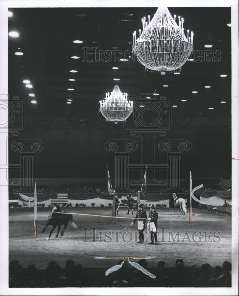 1964 Press Photo Lipizzaner Horse - RRW31507 - Historic Images