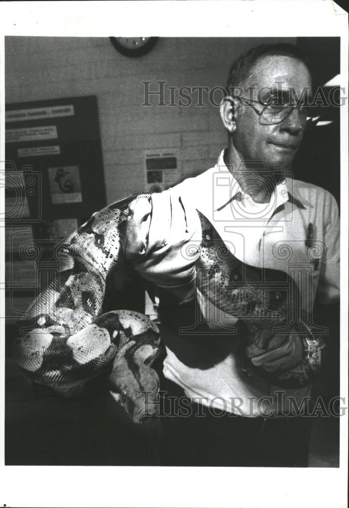 1992 Press Photo Boa Contrictor Snake - RRW32929 - Historic Images