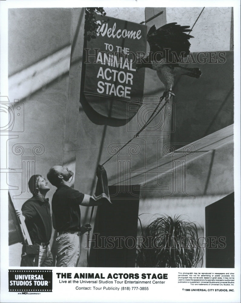 1986 Press Photo Universal Studio Animal Acctor Stage - RRW32939 - Historic Images