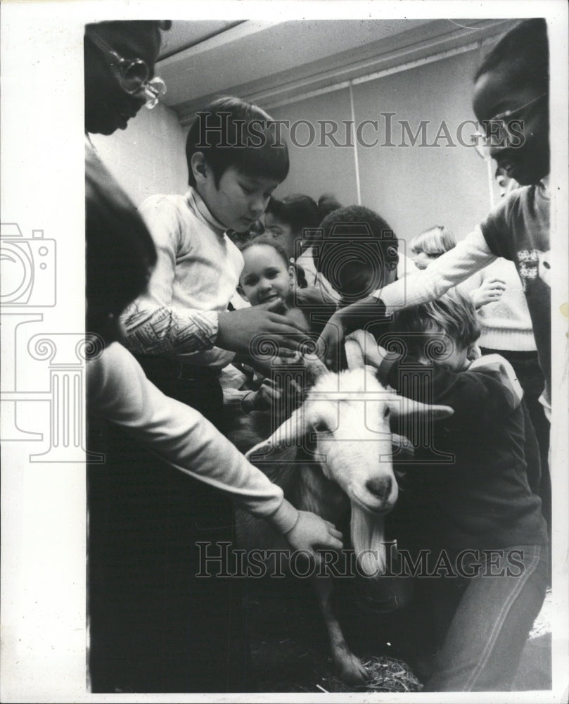 1979 Press Photo Farm comes to JFK elementary - RRW32961 - Historic Images