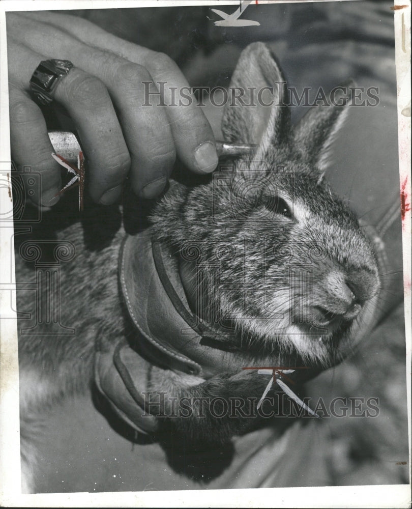 1941 Press Photo Michigan Dept Station Swan Creek - RRW33027 - Historic Images