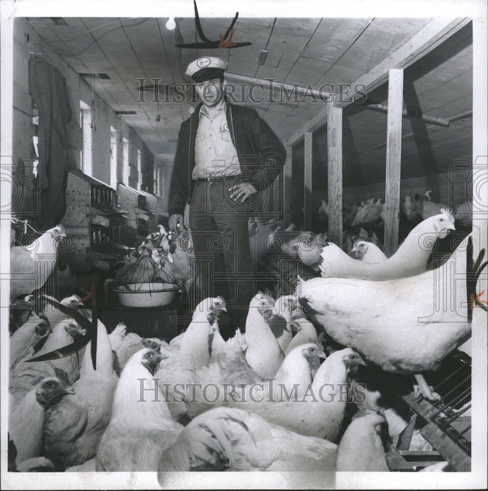 1967 Press Photo Chicken Hatchery Rudy Mengele - RRW33191 - Historic Images