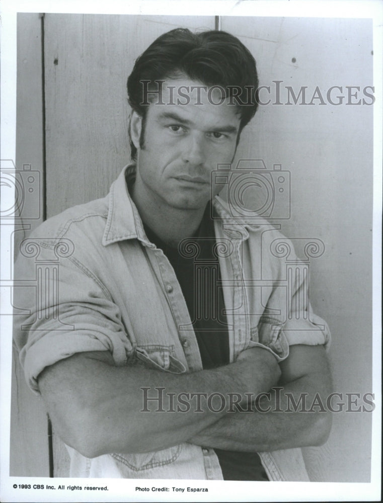 1993 Press Photo Harry Hamlin Actor - RRW33391 - Historic Images