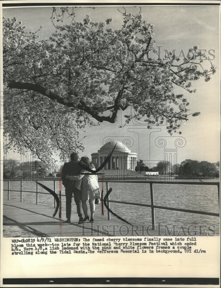 1971 Press Photo Cherry Blossom Flowers - RRW33567 - Historic Images