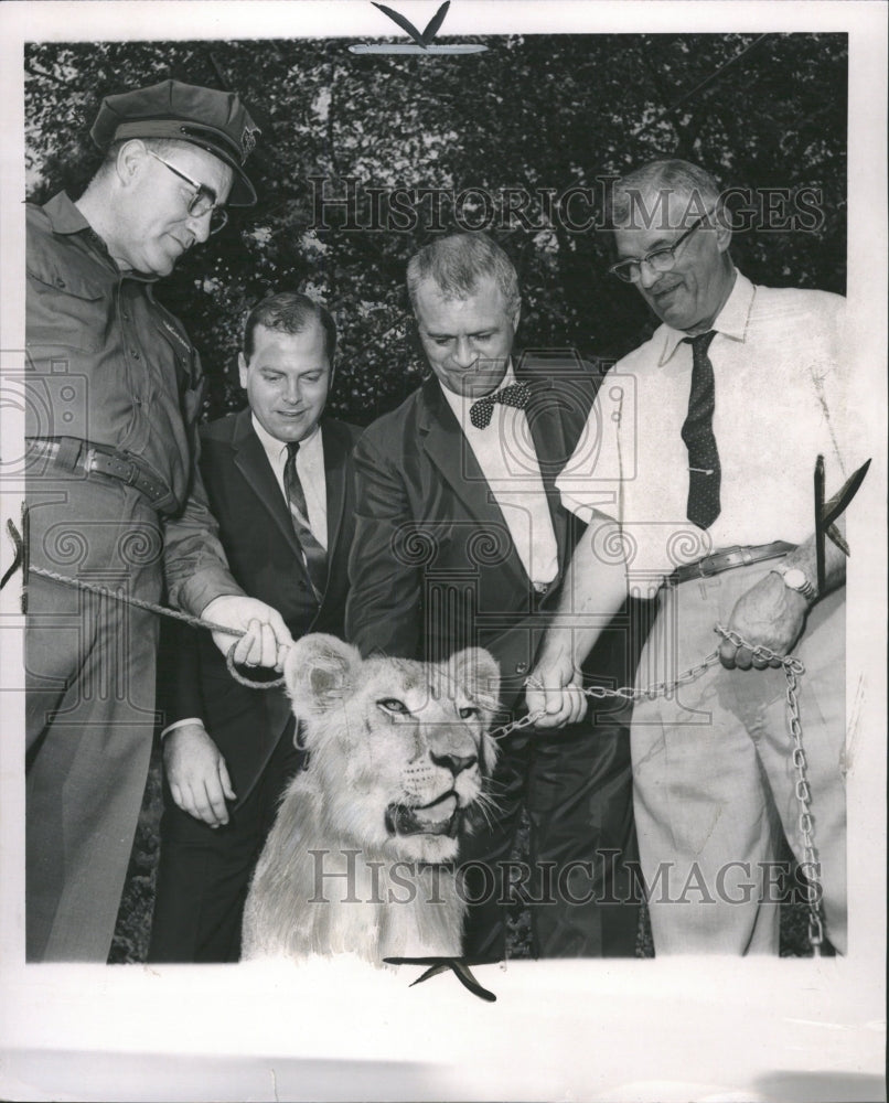 1962 Press Photo Detroit Lion Afta Zoo - RRW33893 - Historic Images