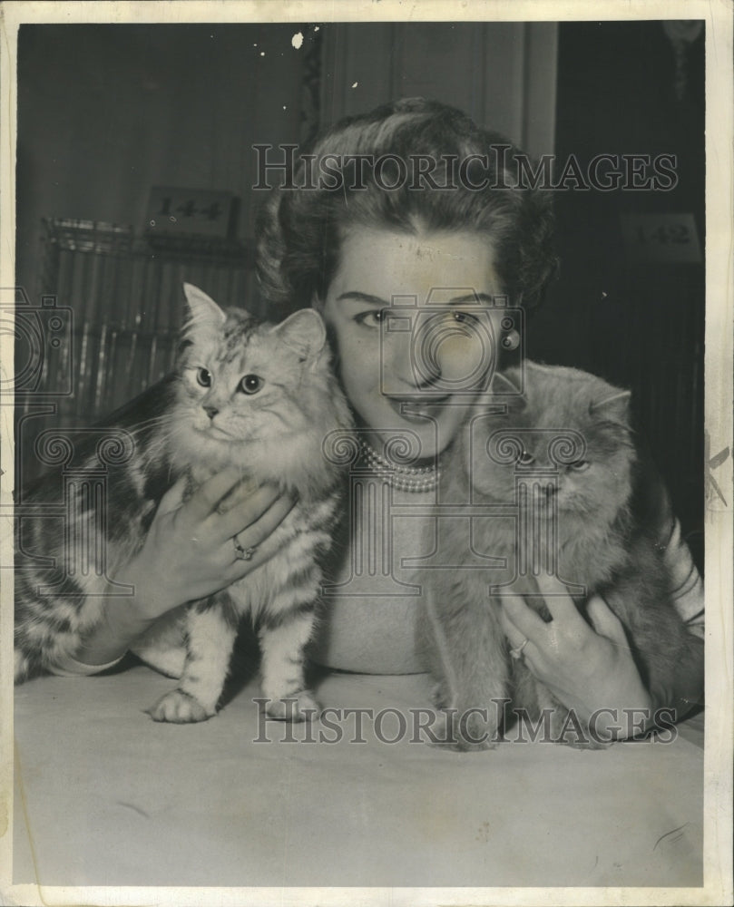1955 Press Photo Beresford Cat Club America Show Mason - RRW34131 - Historic Images