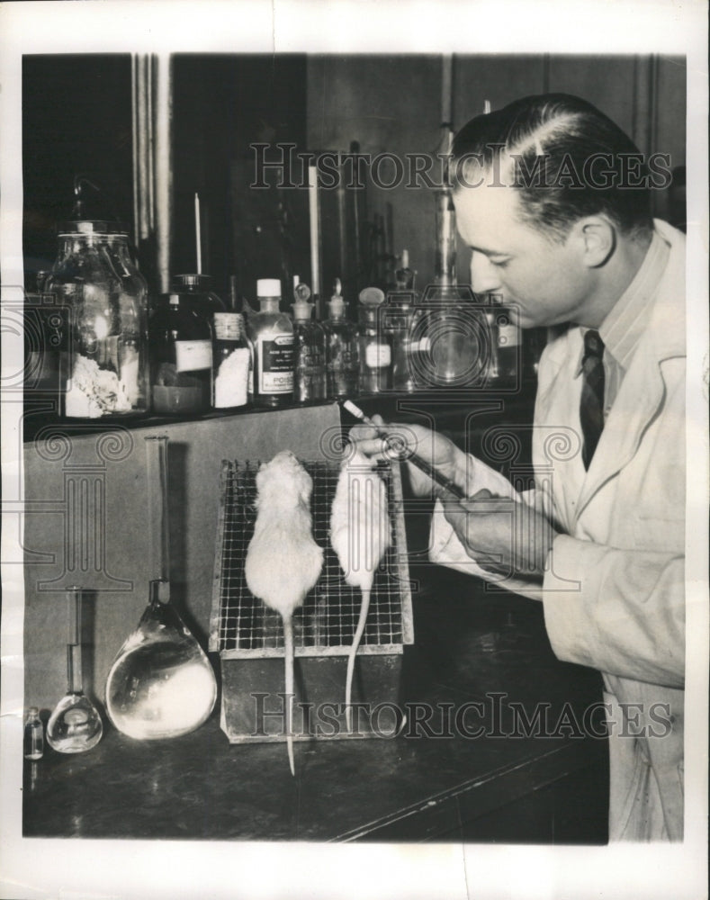 1949 Press Photo Vitamin B12 Experiments - RRW34733 - Historic Images