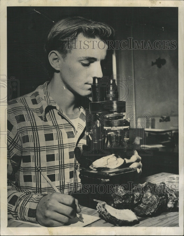 1950 Press Photo Aquaculture Raise Oysters - RRW35431 - Historic Images