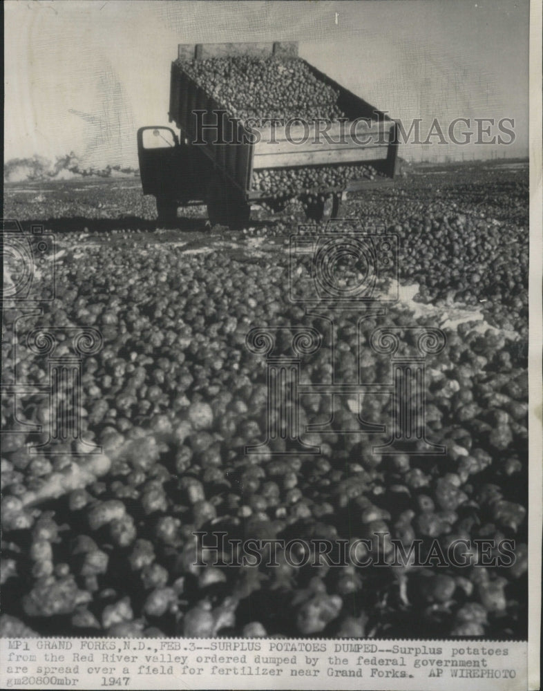 1947 Press Photo Surplus Potatoes Red River Valley - RRW35465 - Historic Images