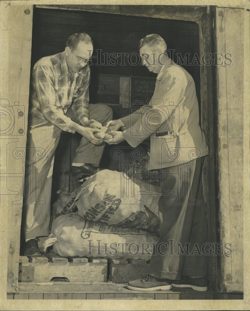 1952 Press Photo Men Looking at Potatoes - RRW35527 - Historic Images