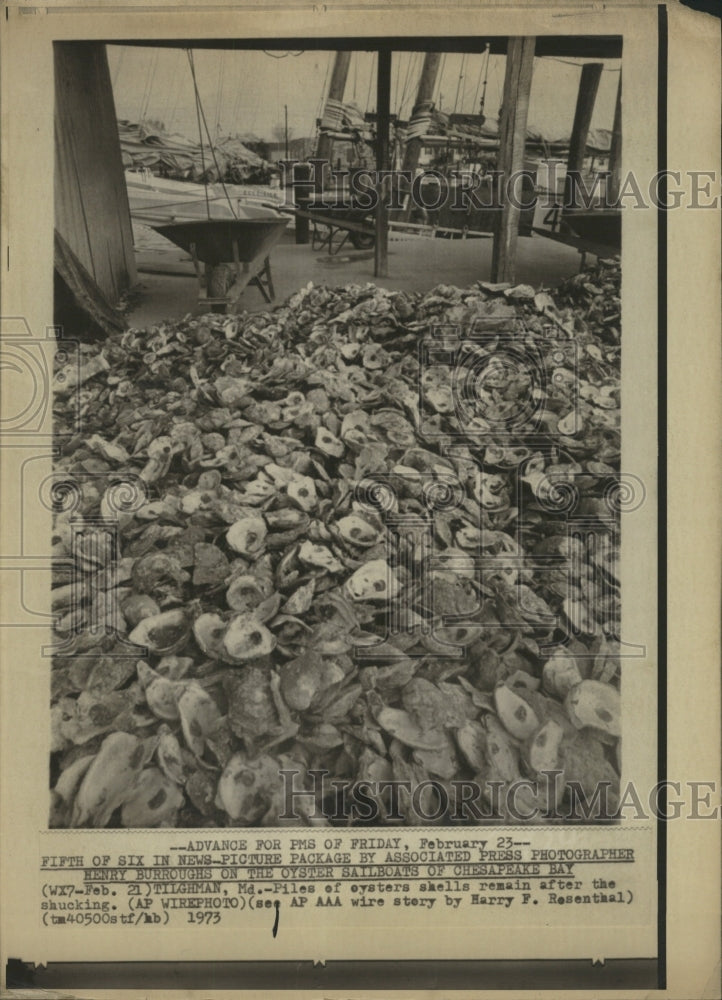 1973 Press Photo Oysters Shells after Shucking - RRW35709 - Historic Images