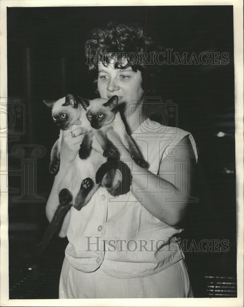 1965 Press Photo Pert Shops Chicago Area - RRW35891 - Historic Images