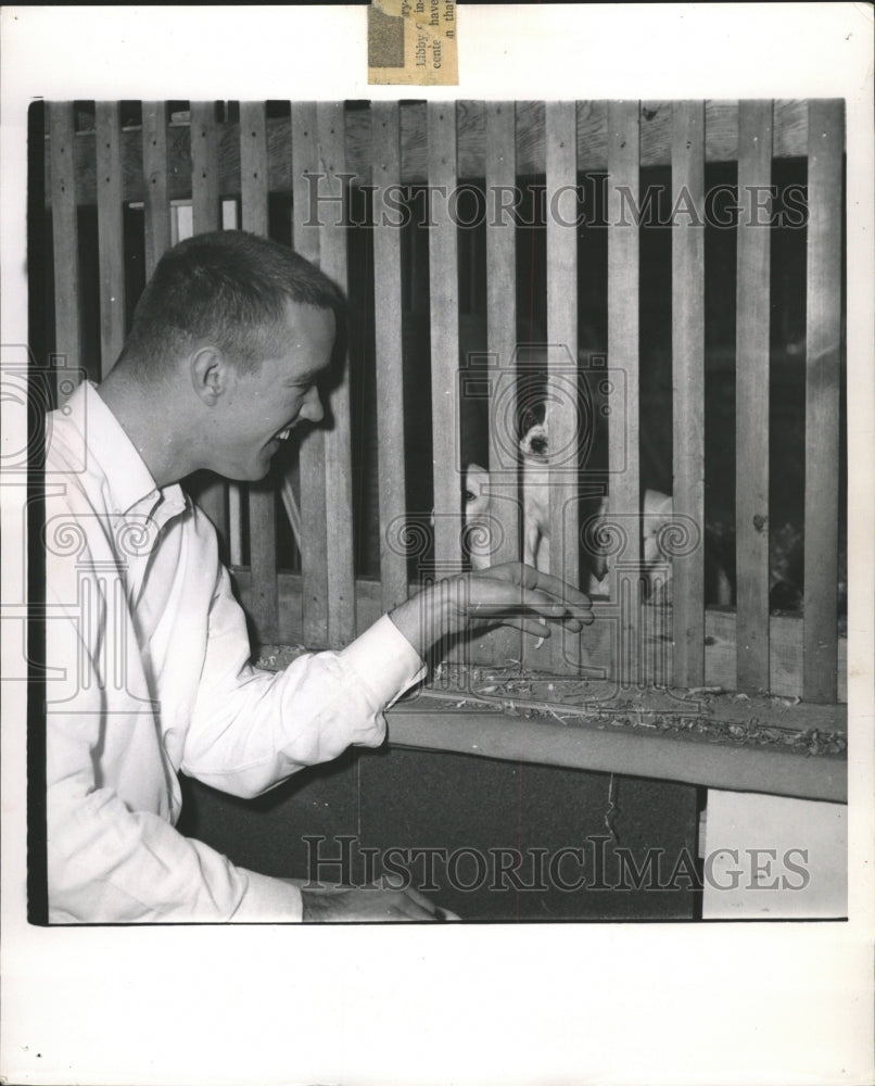 1961 Press Photo Puppies at Lambs Pet Shop - RRW35895 - Historic Images