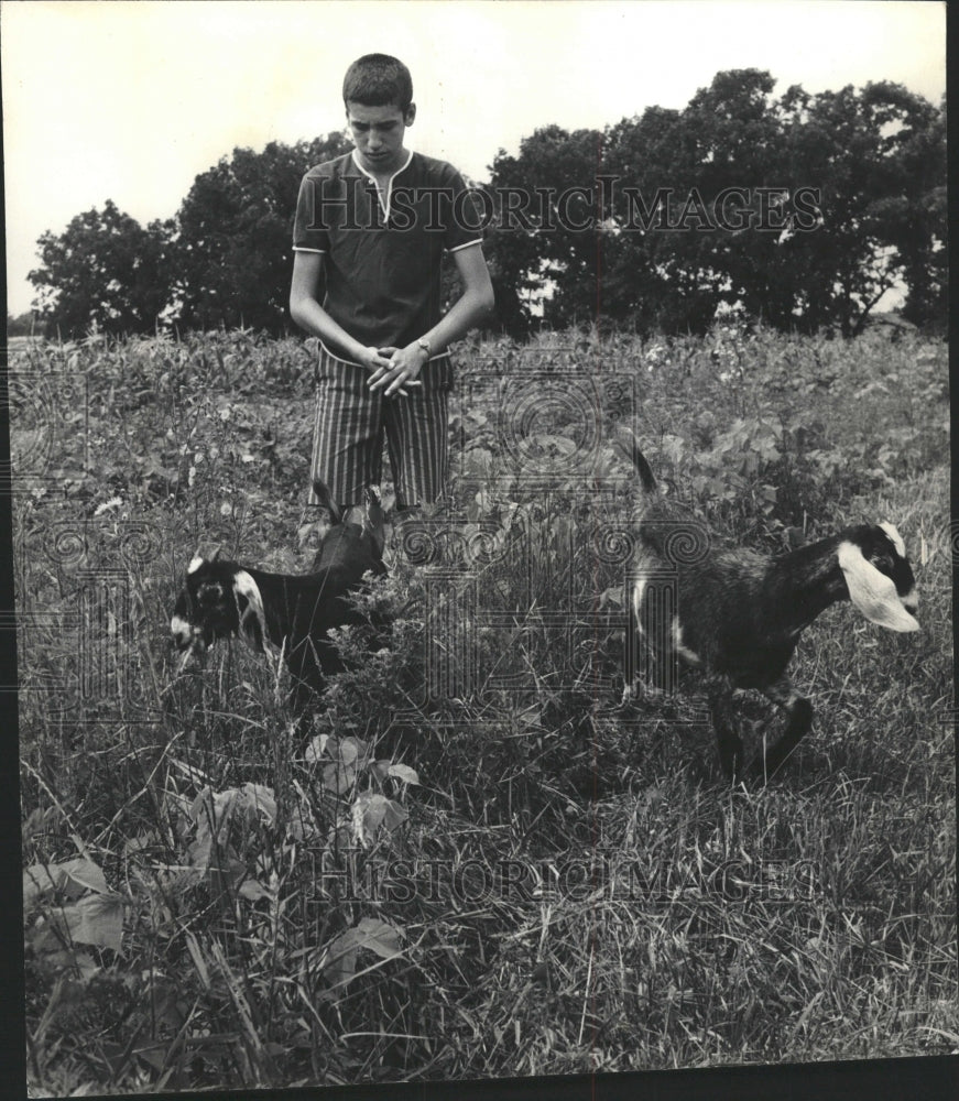 1966 Press Photo Nubian Goats - RRW35897 - Historic Images