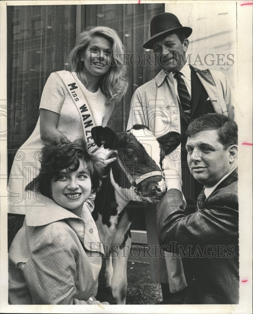 1970 Press Photo Lambs Pet Farm Libertyville Illinois - RRW35899 - Historic Images